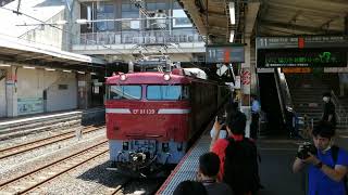 【⚠️危険撮影行為をする人物あり】651系1000番台OM205編成 KY廃車回送 EF81-139号機牽引 配9145レ 大宮駅発車