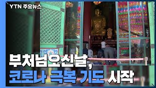 부처님오신날, 전국 사찰서 코로나 극복 기도 시작 / YTN