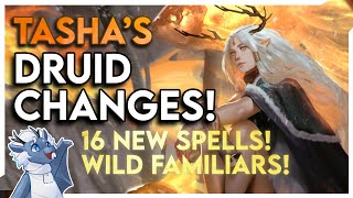 Getting Familiar with Druid! New Features from Tasha's Cauldron of Everything | D\u0026D 5e | UAToday