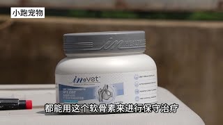 怕徳牧后腿出问题？软骨素快快安排！#徳牧 #软骨素