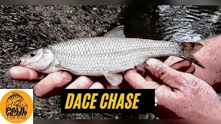 Dace fishing on the river Culm