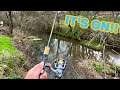 This Ultralight Lure Gets ALL The FISH