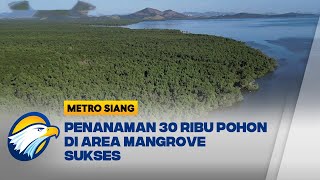 Penanaman Pohon Jaga Ekosistem Mangrove