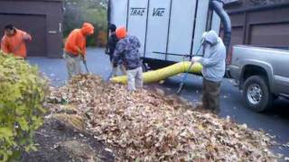 Trac-Vac 288 Leaf Collection System