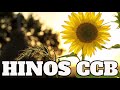 HINOS CCB - CONGREGAÇÃO CRISTÃ NO BRASIL