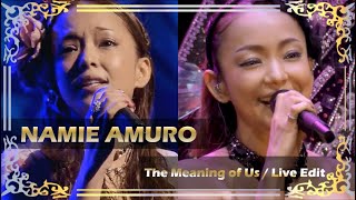 The Meaning of Us / (ライブ編集)