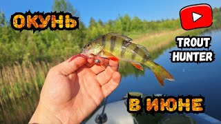 Рыбалка с Лодки на микроджиг!🎣✅️ ЭЛЕКТРОМОТОР Haswing Osapian 40lbs, Покатушка на лодке!