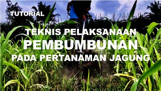 TUTORIAL Teknis Pelaksanaan Pembumbunan pada Pertanaman Jagung