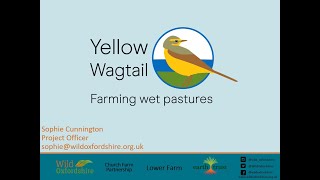 Spring Recorders' Conference 2021 - Sophie Cunnington, Wild Oxfordshire: Yellow Wagtail Project