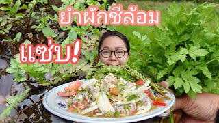 เก็บผักชีล้อมทำยำแซ่บอย่าบอกใคร!