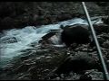 2009年09月16日「秋晴れの日の釣り」tenkara .com