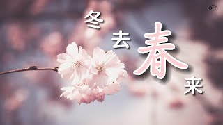 冬去春来/人生的意义 | 봄이 오나 봄/인생의 소망 | Spring Comes after Winter/Meaning of our Life