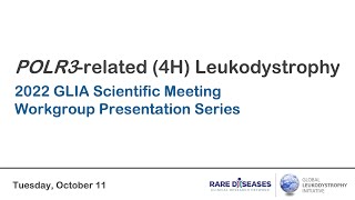 4H Leukodystrophy Workgroup (2022 GLIA Scientific Meeting)