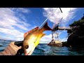 Panah Ikan Di Wisata Tebing Apparalang | Spearfishing indonesia