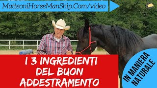 I 3 ingredienti per raffinare l'addestramento del cavallo