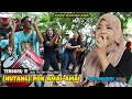 TIKTOK SONG VIRAL POK AMAI-AMAI'S DEBT VERSION NANA NUTRIISARI MEGANTRA