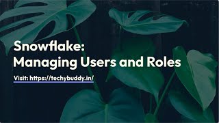 Snowflake Managing Users and Roles