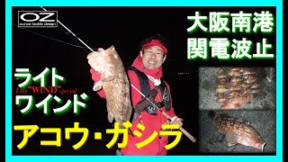 アコウ（キジハタ）とガシラ（カサゴ）をライトワインドで狙う！大阪南港・関電波止（アコウ（キジハタ）・ガシラ（カサゴ））オンスタックル　ルアーフィッシング