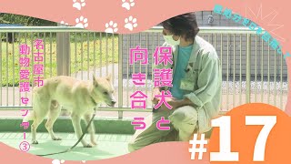 保護された犬と向き合うこと（動物愛護センター③）