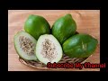 कच्चा पपीता के नुकसान लड़कियां जरूर देखें side effects of raw papaya in hindi