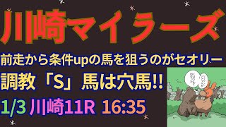 川崎マイラーズ2024予想【川崎競馬】全頭診断＋追い切り評価＋AI予想