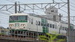 185系で行く第24回貨物線ツアー2020 稲毛～津田沼にて