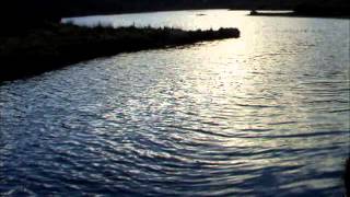 River reelin lake by foyleshing.wmv