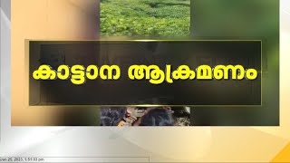 ഇടുക്കി ശാന്തൻപാറയിൽ കാട്ടാന ആക്രമണത്തിൽ വനം വകുപ്പ് വാച്ചർ കൊല്ലപ്പെട്ടു