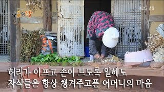 [우문현답] 158화. 자제분들이 오면 어머니가 바리바리 싸주시는데, 그때 어머니 마음은 어떠십니까? - 경남 산청군 오부면 오전마을 (2018.11.14,수)