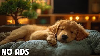 12 Hours of Relaxing music for dogs💖🐶Anti separation anxiety relief🐶💖Pet music🎵 Deep Sleep🐶