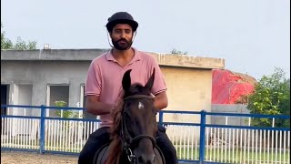 My First Horse Ride Experience | I YouTube You