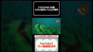 ドラクエ3HD2D版攻略効率の良いレベル上げ場所 #youtubeshorts #shorts #ドラクエ3hd2d #ゲーム実況 #dragonquest