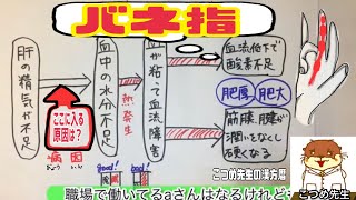 ばね指の手術をススメられてからでも遅くない★Aさんは発病しないのにBさんは発病する理由