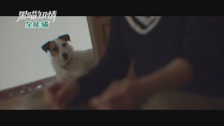 《黑喵知情預告》EP6 無法訴說的創傷 動物都知道？