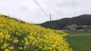 キハ47+キハ125 山本駅付近にて 警笛あり