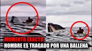 El MOMENTO EXACTO en que UN JOVEN VENEZOLANO es TRAGADO por UNA BALLENA y cómo LOGRÓ SALIR con VIDA!