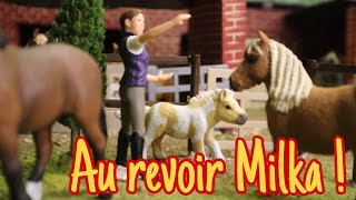 [Histoire Schleich] Les poulains 2023 arrivent bientôt au poney club !