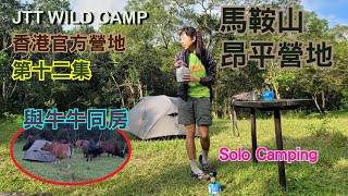 [JTT Wild Camp][香港官方營地]第十二集 ~ 昂平營地 Ngong Ping Campsite  [與牛牛同房] [solo camping] [馬鞍山郊野公園]