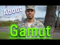 What is Gamut? | How Does Gamut Look? | How to Say Gamut in English?