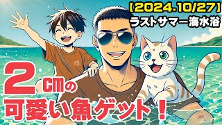 沖縄県は10月27日でも真夏日で海水浴！めちゃくちゃ透明な海でめちゃくちゃ小さいモンガラを捕まえた！【伊江ビーチ】