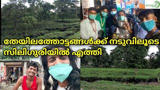 സിലിഗുരിയിൽ എത്തി | Siliguri | Bengal | Kuttanad to Kangchenjunga | by  foot | Hitchhiking | Atmayan