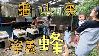 【做中學習】龜山裏學養蜂【Learning by doing】Learning Apiculture(Beekeeping) in Turtle Mountain.