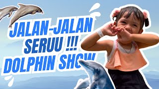 Seru Abis! Main ke Safari Beach Batang, Jawa Tengah - Lumba-Lumba Lucu \u0026 Hewan-hewan Keren