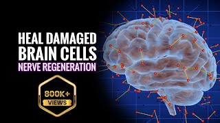 Heal Damaged Brain Cells & Nerve Regeneration | Theta Binaural Beats Sound | Brain Cell Regeneration