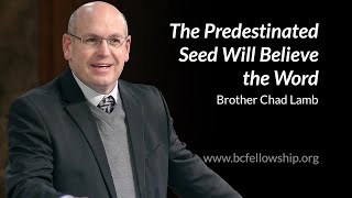 250122 - Chad Lamb: The Predestinated Seed Will Believe the Word