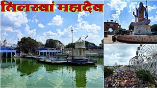 तिलस्वा महादेव का मंदिर दिखाइए | TILASWA MAHADEV MANDIR DIKHAIYE | TILASWA MAHADEV MANDIR BATAO