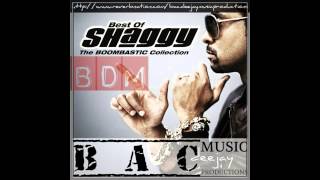 Shaggy Mr Boombastic Breakbeat version BDM 121 PRO