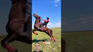 Чыныгы Кокборунун аты экен #кокбору #horse #kopkari