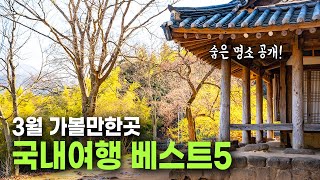 이런 곳도 있었네? 매화, 산수유 숨은 여행지 BEST 5