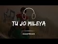 Tu Jo Mileya (Slowed + Reverb) : Juss X Mixsingh | New Punjabi Song 2024 |